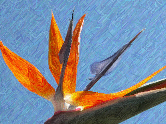 bird pencil